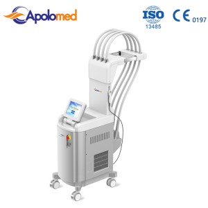 factory customized Best Tattoo Removal Machine - Hot 1060nm laser for body slimming sculpture fat cell reduction beauty machine – Apolo