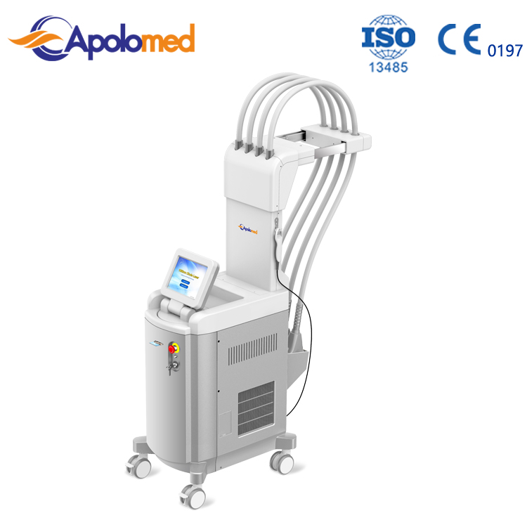 Factory For Ipl Shr 690nm Hair Removal -
 Hot 1060nm laser for body slimming sculpture fat cell reduction beauty machine – Apolo