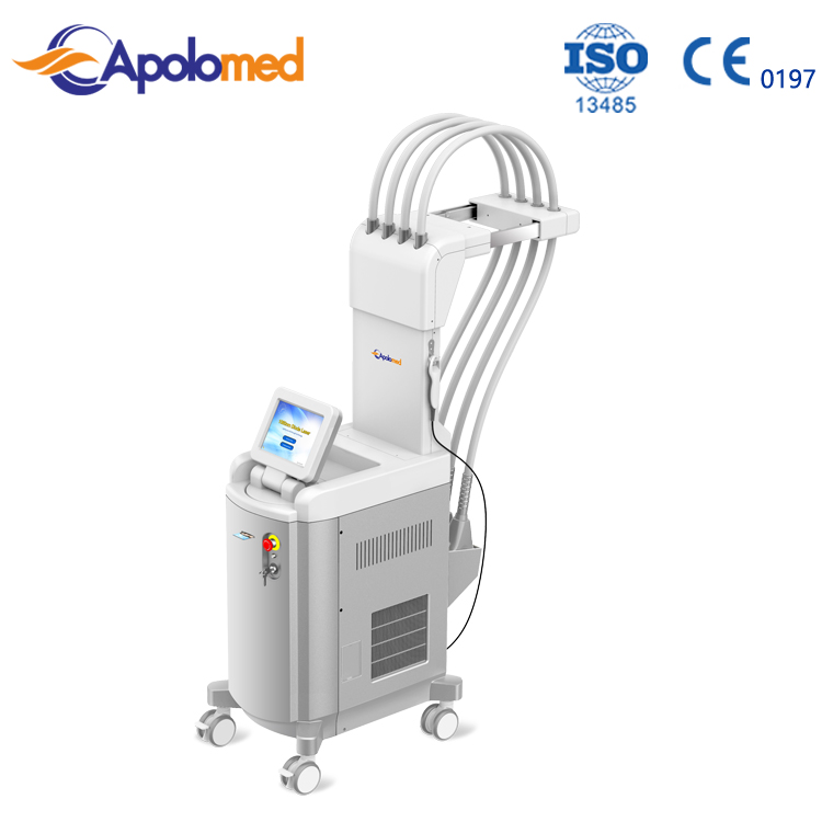 2017 wholesale price Seborrheic Remover -
 body sculpture 1060nm Diode laser slimming machine with 4 applicators – Apolo