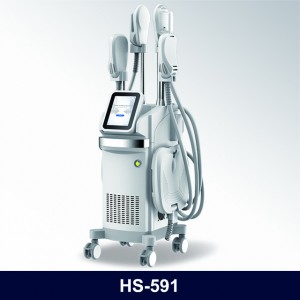 OEM Manufacturer Promotional Depitime Hair Removal -
 Electromagnetic Slimming HS-591 – Apolo