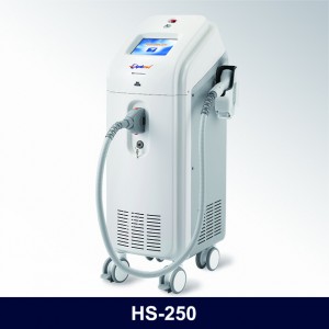 Q 스위치 ND YAG 레이저 HS-250E