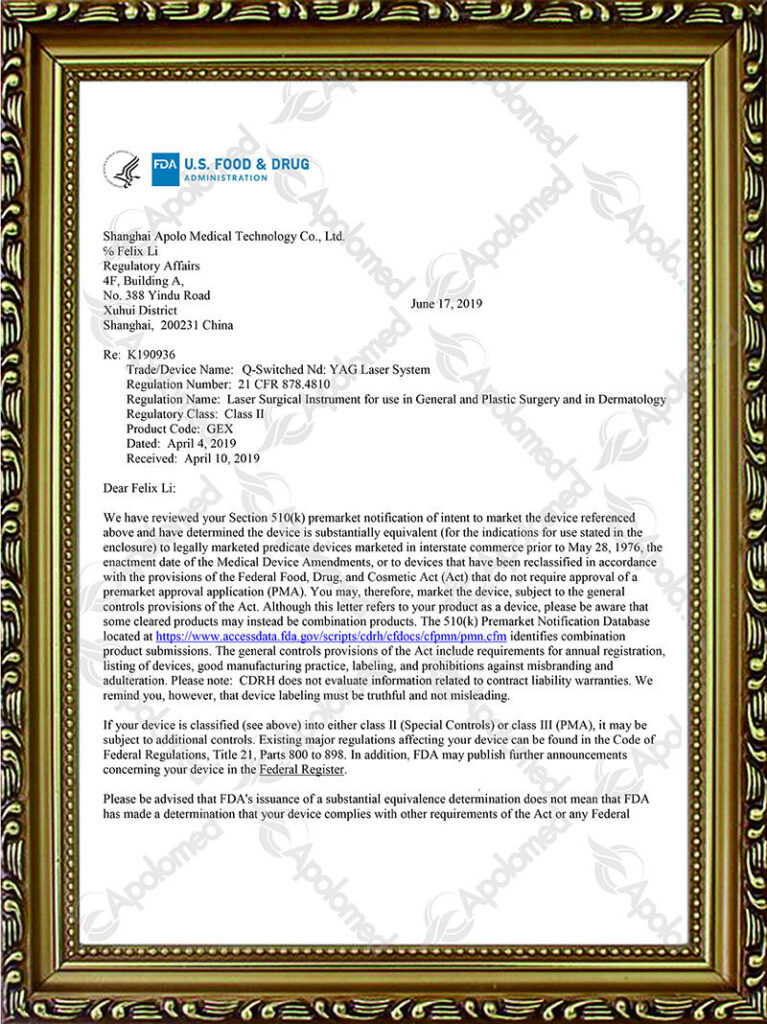 Q-Switched Nd-Yag Laser System